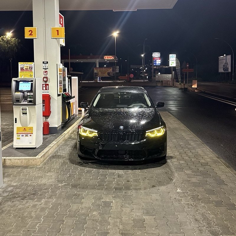 dario