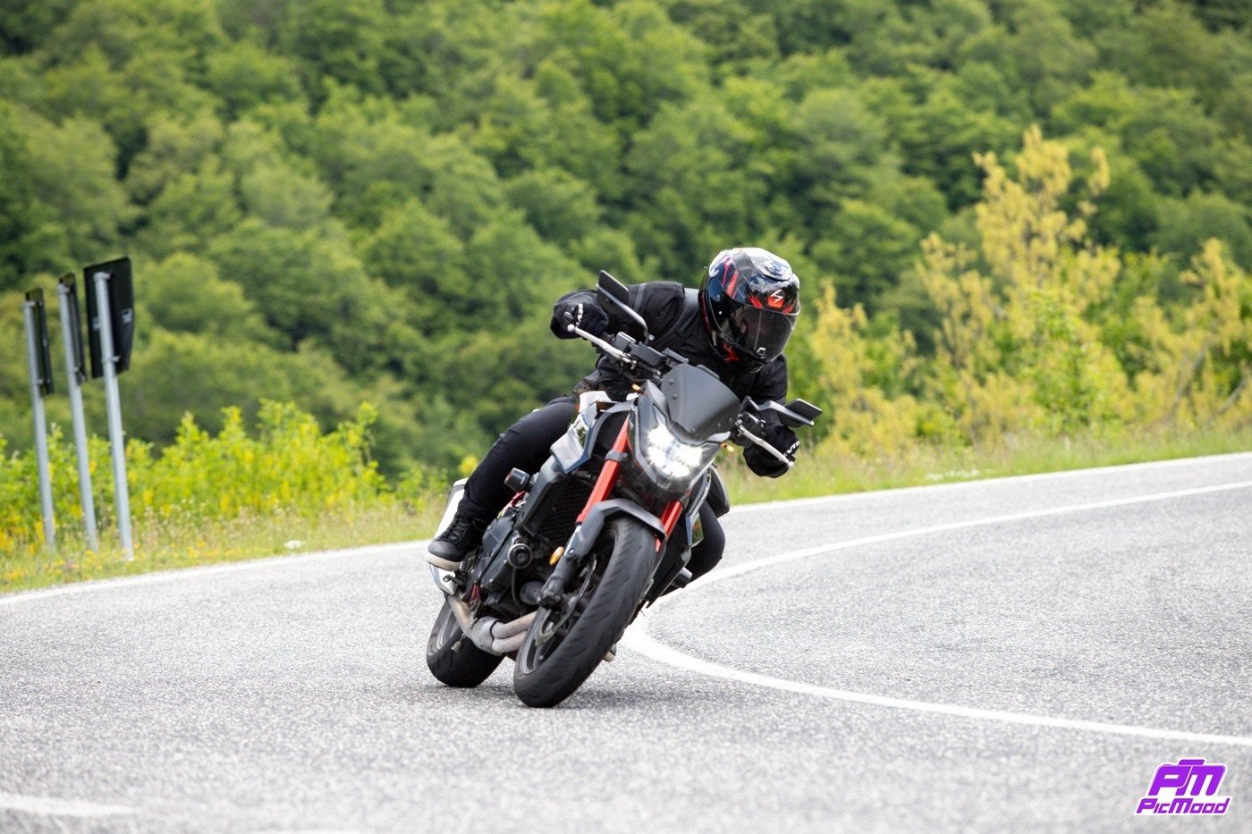 Honda Hornet