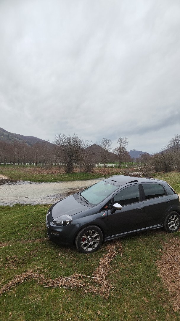 Fiat Punto